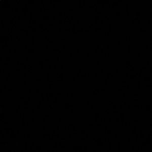 Meet your Posher, Dru